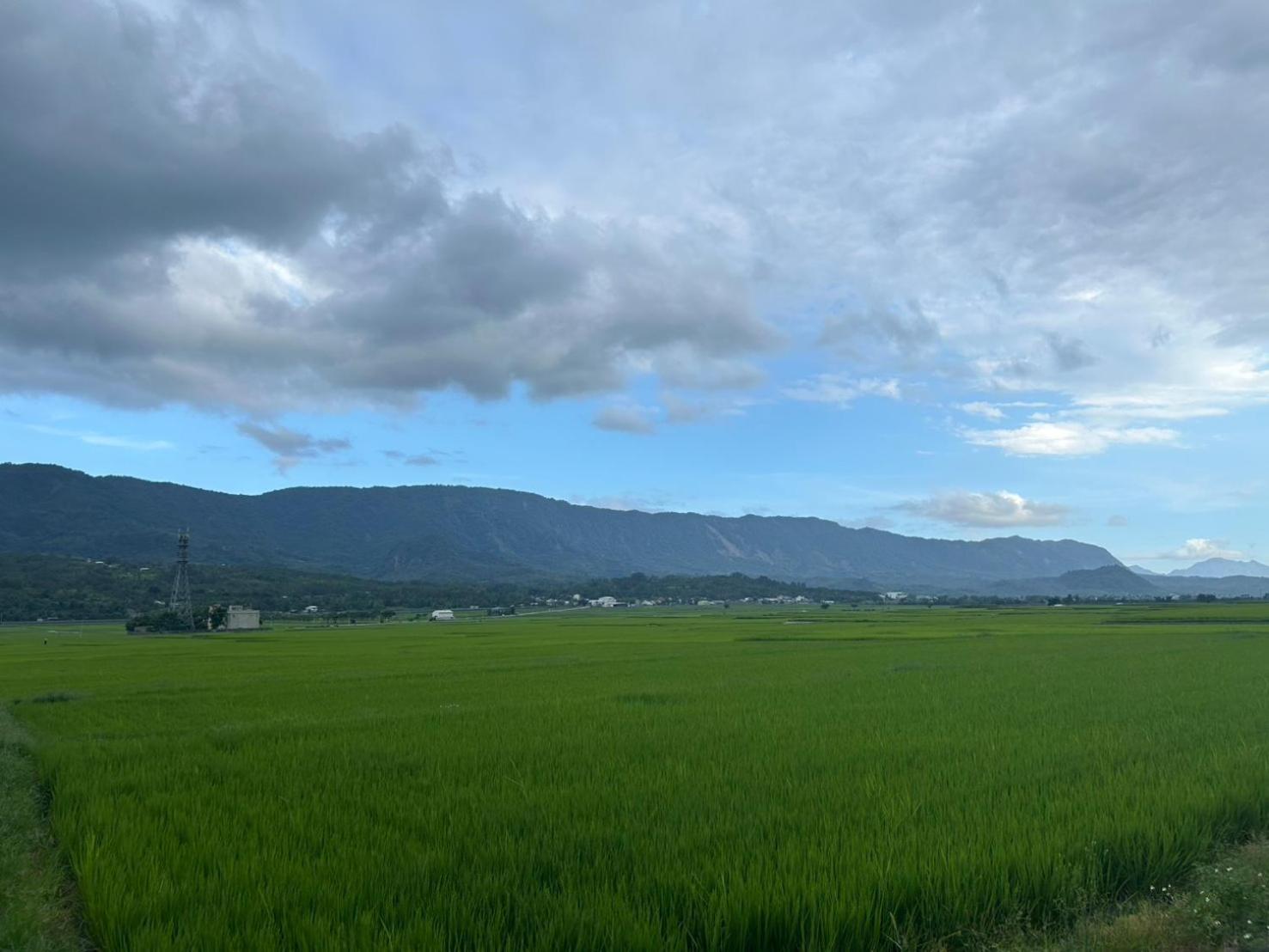 Xian Qing Yu Zhi Homestay Чишан Экстерьер фото